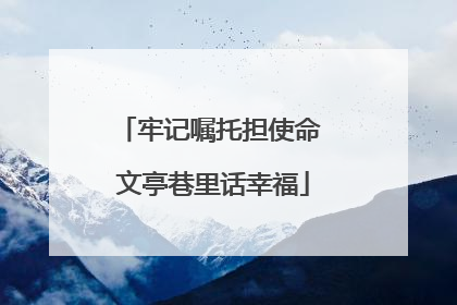 牢记嘱托担使命 文亭巷里话幸福