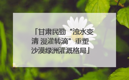 甘肃民勤“浊水变清 漫灌转滴”重塑沙漠绿洲灌溉格局