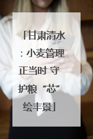 甘肃清水：小麦管理正当时 守护粮“芯”绘丰景