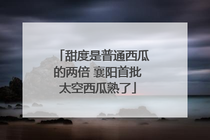 甜度是普通西瓜的两倍 襄阳首批太空西瓜熟了