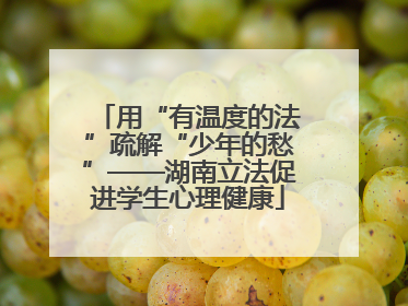 用“有温度的法”疏解“少年的愁”——湖南立法促进学生心理健康