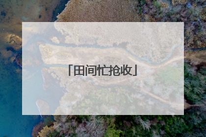 田间忙抢收