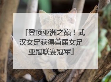 登顶亚洲之巅！武汉女足获得首届女足亚冠联赛冠军