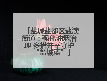 盐城盐都区盐渎街道：强化油烟治理 多措并举守护“盐城蓝”