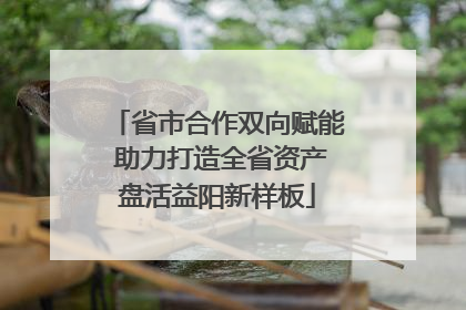 省市合作双向赋能 助力打造全省资产盘活益阳新样板