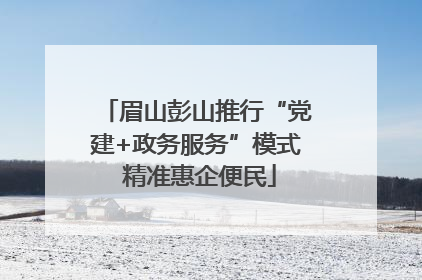 眉山彭山推行“党建+政务服务”模式 精准惠企便民
