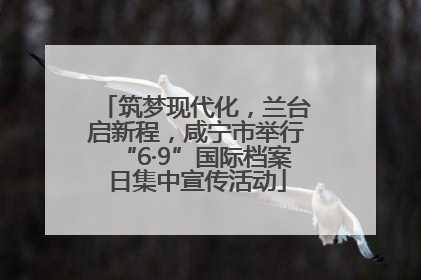 筑梦现代化，兰台启新程，咸宁市举行“6·9”国际档案日集中宣传活动