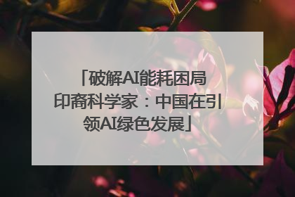 破解AI能耗困局 印裔科学家：中国在引领AI绿色发展