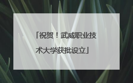 祝贺！武威职业技术大学获批设立