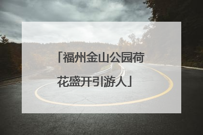 福州金山公园荷花盛开引游人