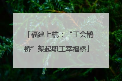 福建上杭：“工会鹊桥”架起职工幸福桥
