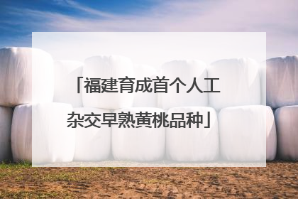 福建育成首个人工杂交早熟黄桃品种