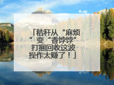 秸秆从“麻烦”变“香饽饽” 打捆回收这波操作太赚了！