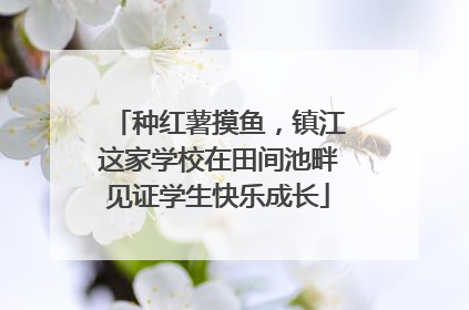 种红薯摸鱼，镇江这家学校在田间池畔见证学生快乐成长