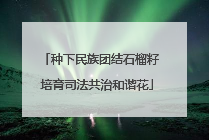 种下民族团结石榴籽 培育司法共治和谐花