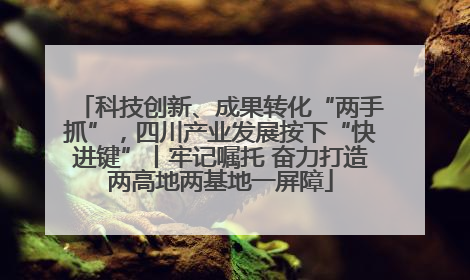 科技创新、成果转化“两手抓”，四川产业发展按下“快进键”丨牢记嘱托 奋力打造两高地两基地一屏障