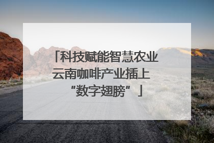 科技赋能智慧农业 云南咖啡产业插上“数字翅膀”