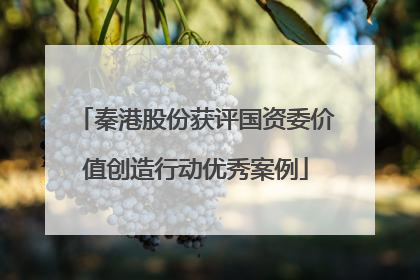 秦港股份获评国资委价值创造行动优秀案例