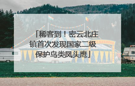 稀客到！密云北庄镇首次发现国家二级保护鸟类凤头鹰