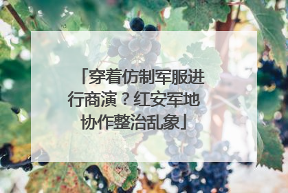 穿着仿制军服进行商演？红安军地协作整治乱象