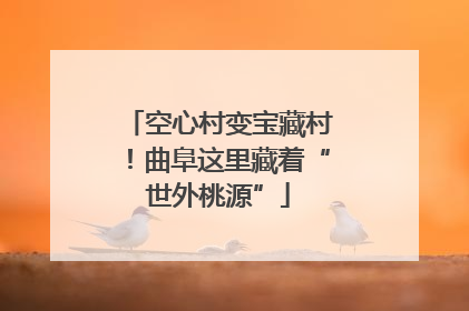 空心村变宝藏村！曲阜这里藏着“世外桃源”