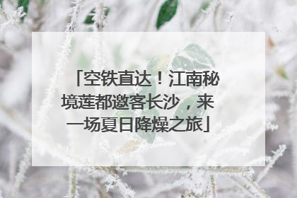 空铁直达！江南秘境莲都邀客长沙，来一场夏日降燥之旅