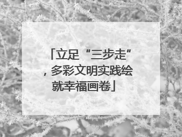 立足“三步走”，多彩文明实践绘就幸福画卷