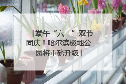 端午“六一”双节同庆！哈尔滨极地公园将重磅升级