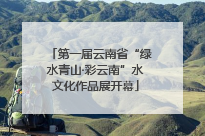 第一届云南省“绿水青山·彩云南”水文化作品展开幕