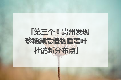 第三个!贵州发现珍稀濒危植物睡莲叶杜鹃新分布点
