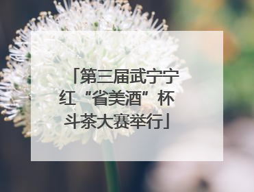 第三届武宁宁红“省美酒”杯斗茶大赛举行