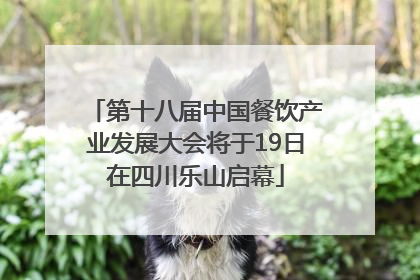 第十八届中国餐饮产业发展大会将于19日在四川乐山启幕