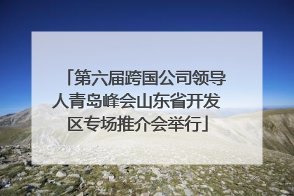 第六届跨国公司领导人青岛峰会山东省开发区专场推介会举行