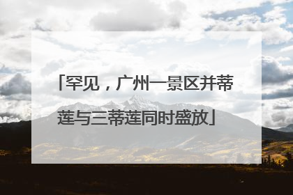 罕见，广州一景区并蒂莲与三蒂莲同时盛放
