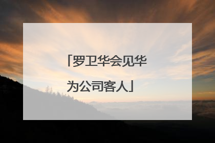 罗卫华会见华为公司客人