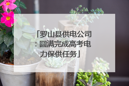 罗山县供电公司：圆满完成高考电力保供任务