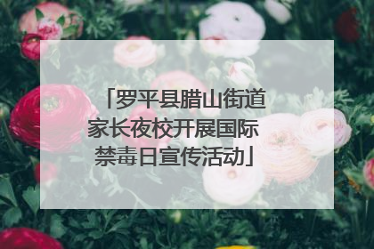 罗平县腊山街道家长夜校开展国际禁毒日宣传活动