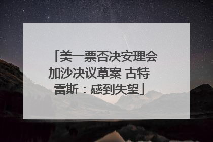 美一票否决安理会加沙决议草案 古特雷斯：感到失望