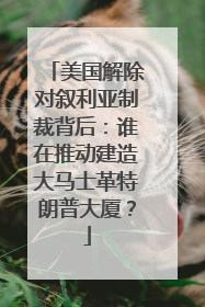 美国解除对叙利亚制裁背后：谁在推动建造大马士革特朗普大厦？