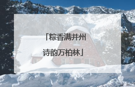 粽香满并州 诗韵万柏林