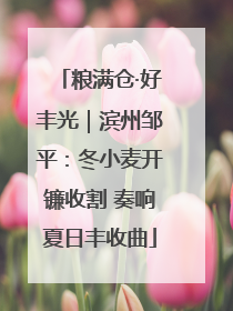 粮满仓·好丰光｜滨州邹平：冬小麦开镰收割 奏响夏日丰收曲
