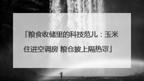粮食收储里的科技范儿：玉米住进空调房 粮仓披上隔热罩