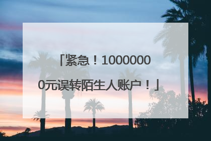 紧急！10000000元误转陌生人账户！