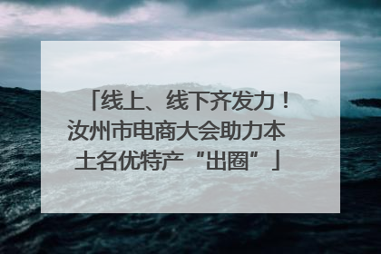 线上、线下齐发力！汝州市电商大会助力本土名优特产“出圈”