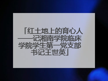红土地上的育心人——记湘南学院临床学院学生第一党支部书记王世英