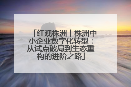 红观株洲丨株洲中小企业数字化转型：从试点破局到生态重构的进阶之路