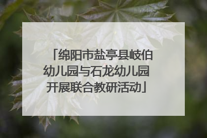 绵阳市盐亭县岐伯幼儿园与石龙幼儿园开展联合教研活动