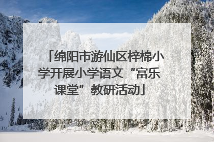 绵阳市游仙区梓棉小学开展小学语文“富乐课堂”教研活动