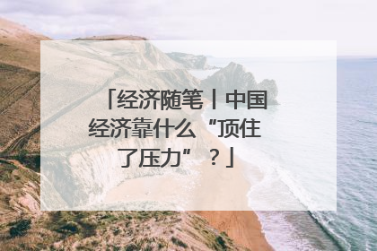 经济随笔丨中国经济靠什么“顶住了压力”？