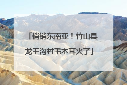 俏销东南亚！竹山县龙王沟村毛木耳火了